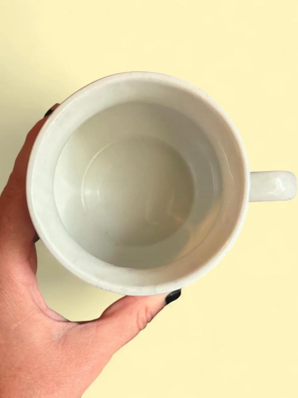 Vintage Goose Soup Mug Cottagecore Farmhouse